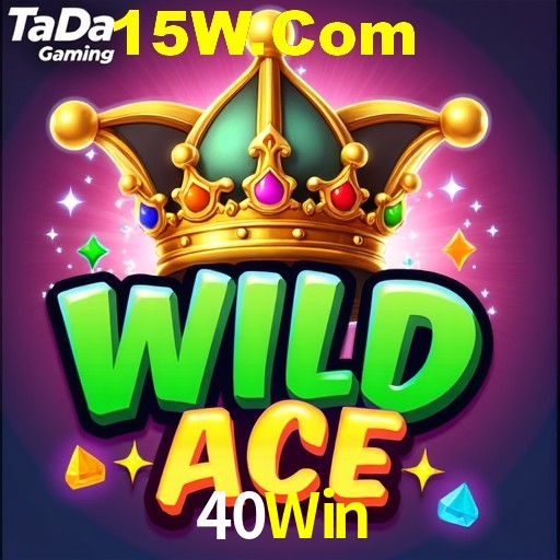 Premium Interface 40Win